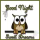 Goodnight 