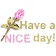 Have a nice day