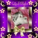good night