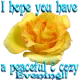 Yellow Rose -Have A Peaceful & Cozy Evening