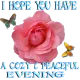 Evening