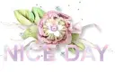 Nice Day