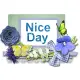 Nice Day