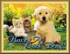 Have A Cool Day