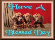 Have A Blessed Day