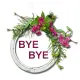 Bye Bye