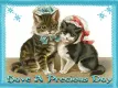 Have A Precious Day  -Cats