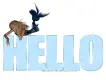 Hello