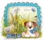 Hello