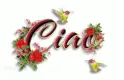 Ciao