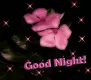 Good Night