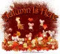 Autumn Is Here