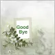 Good Bye