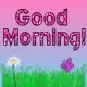 good morning