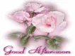 Good afternoon!