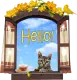 Hello! 