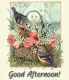 Sweet Good Afternoon