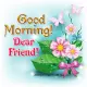 Good Morning