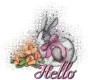 hello