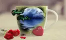 good night.