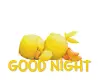 Sleeping Duckie.. GOOD NIGHT