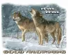 SNOWING ON HOWLING WOLVES SAYING "GOOD MORNING"