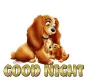 Good Night 