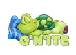 G'NITE TURTLE
