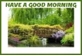 Have a good morning ðŸŒ¸ðŸƒ