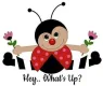 Hey.. What's Up?