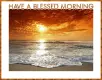 HAVE A BLESSED MORNING
