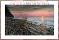 GOOD MORNING