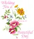 Wishing you a Beautiful Day