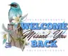 Welcome Back