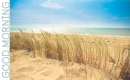 GOOD MORNING (BEACH MORNING)