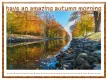 have an amazing autumn morning
