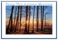 Enjoy This Autumn Morning
