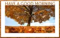 HAVE A GOOD MORNING
