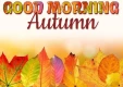 GOOD MORNING AUTUMN