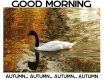GOOD MORNING (AUTUMN)