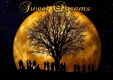 Sweet Dreams (Halloween)