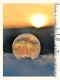 have a wonderfull winter morning (ice globe) 