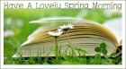 Have A Lovely Spring Morning, Nature, Spring, Greetings