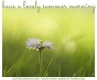have a lovely summer morning, DAISY, NATURE, GREETINGS