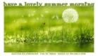 have a lovely summer morning
