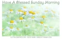Have A Blessed Sunday Morning