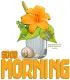GOOD MORNING, FLOWERS, FROG, GREETINGS