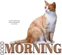 GOOD MORNING, ANIMALS, CAT, GREETINGS