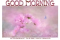 GOOD MORNING, FLOWERS, TEXT, GREETINGS