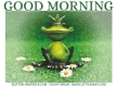 GOOD MORNING, ANIMALS, FROG, GREETINGS